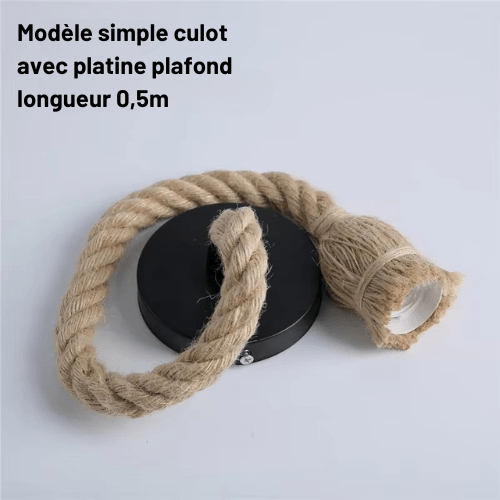 Hemparétro | Reyalight® Modèle simple culot avec platine plafond longueur 0,5m