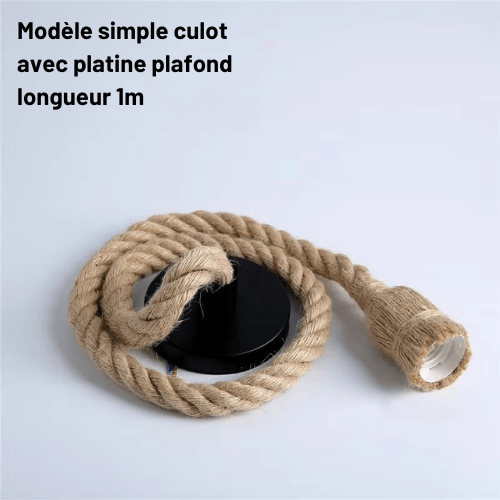 Hemparétro | Reyalight® Modèle simple culot avec platine plafond longueur 1m
