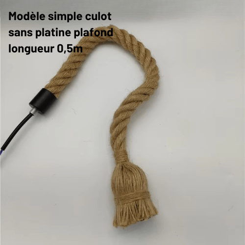 Hemparétro | Reyalight® Modèle simple culot sans platine plafond longueur 0,5m