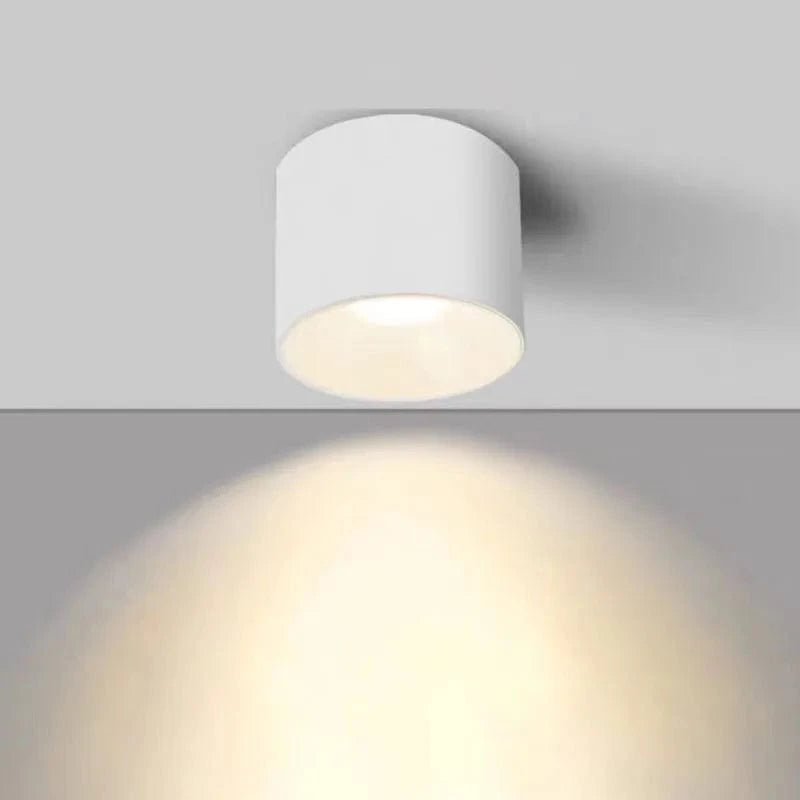Liféo N&B | Reyalight®