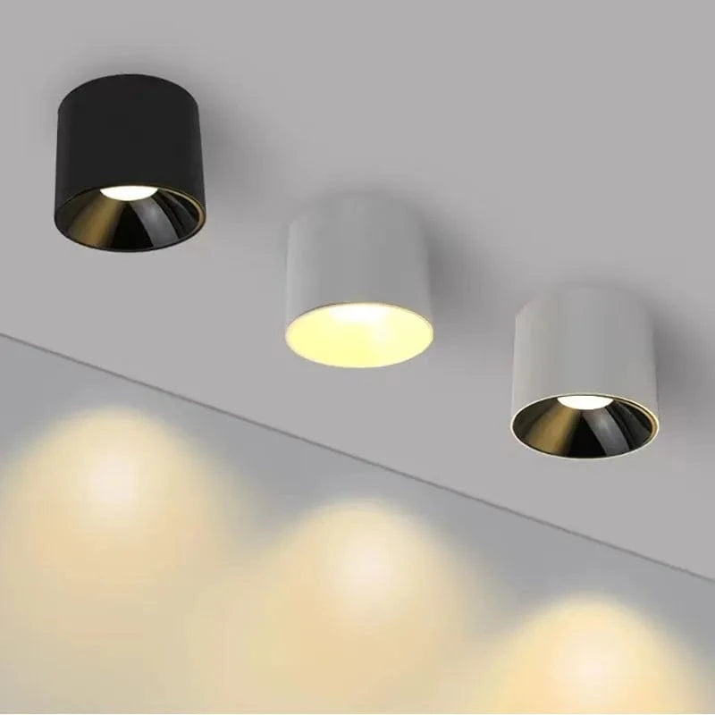 Liféo N&B | Reyalight®