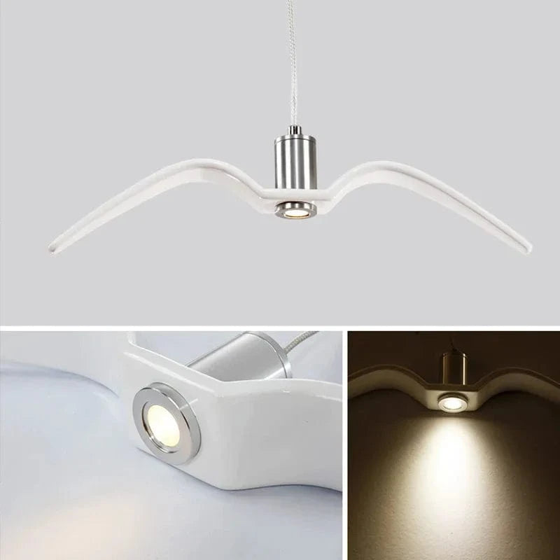 Seagull | Reyalight®