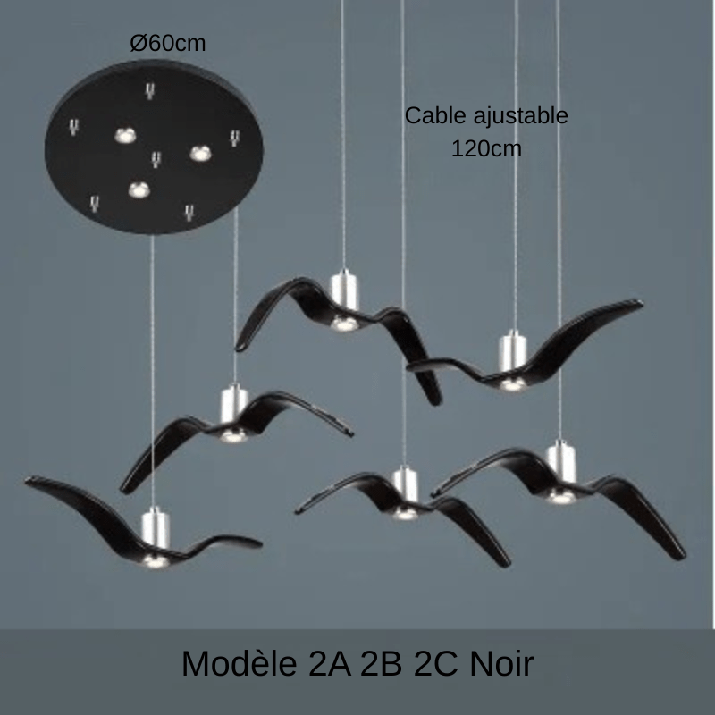 Seagull | Reyalight® Modèle 2A 2B 2C Noir D60cm / Lumière chaude 3000k