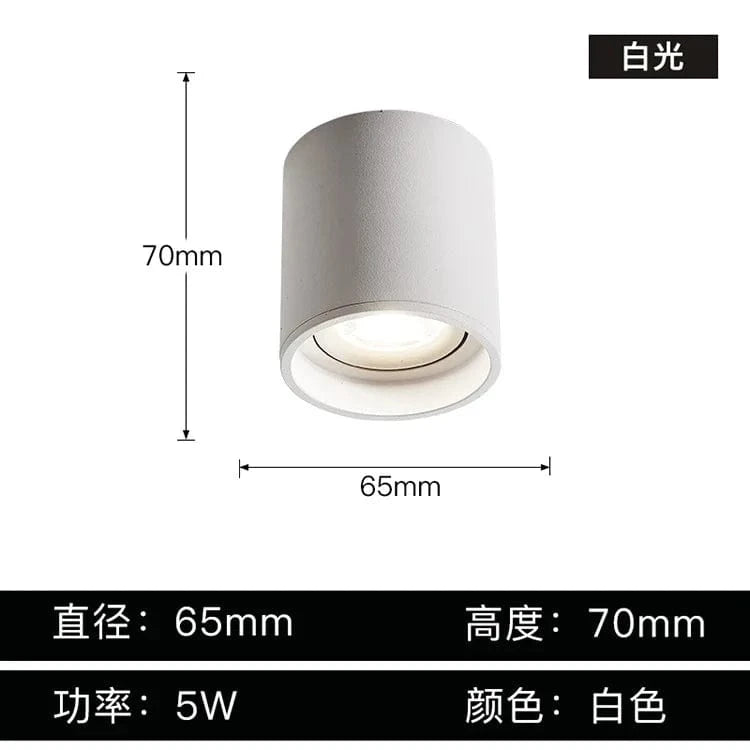 Stellarisri | Reyalight®