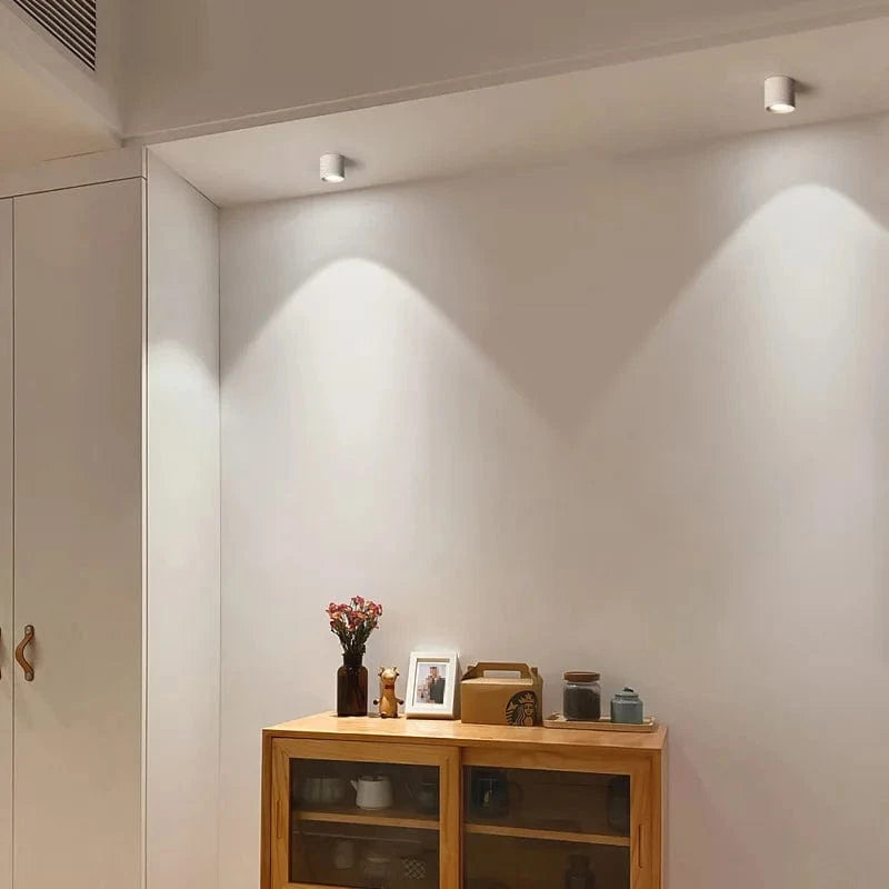 Stellarisri | Reyalight®