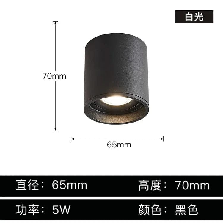Stellarisri | Reyalight®