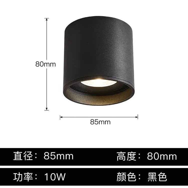 Stellarisri | Reyalight®