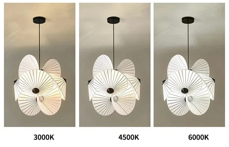 Vegaon | Reyalight®