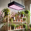 Lampe horticole