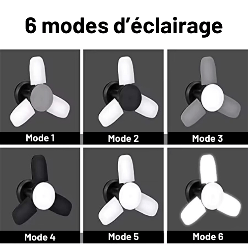 Éclairefeu | Reyalight® Fleur Solaire Noire