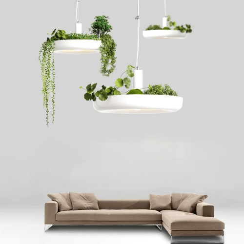 Floralux | Reyalight®