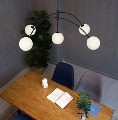 Novaion | Reyalight®