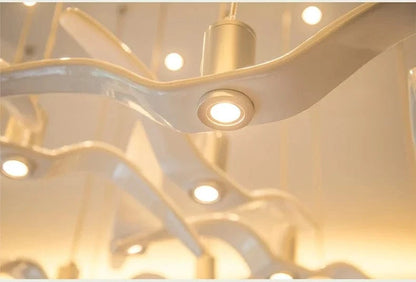 Seagull | Reyalight®