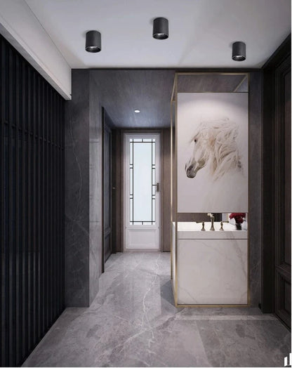 Stellarisri | Reyalight®