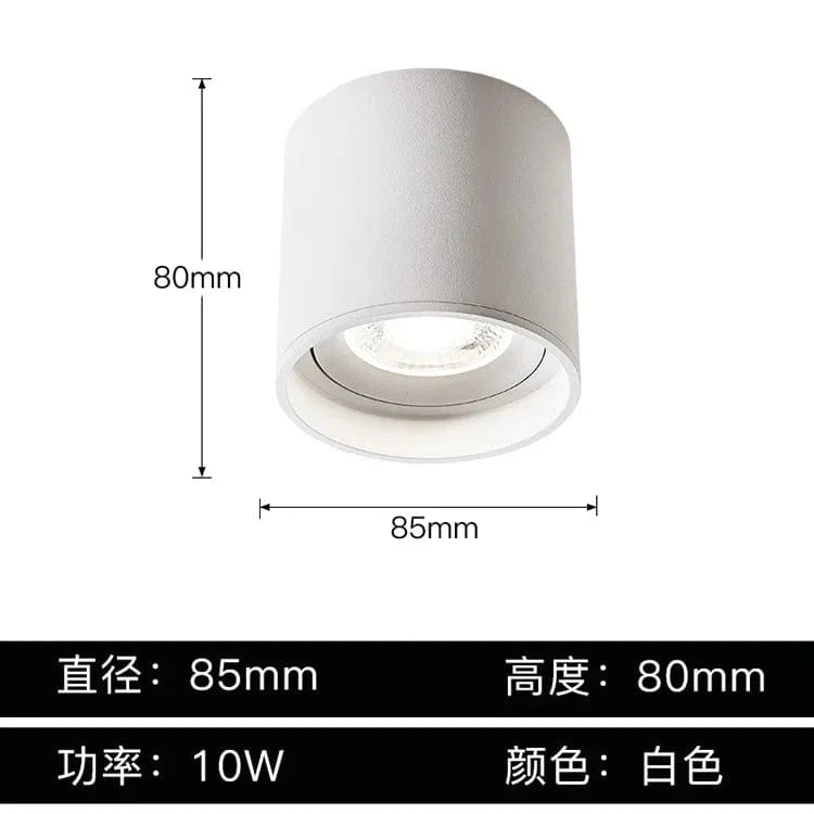 Stellarisri | Reyalight®