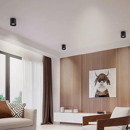 Stellarisri | Reyalight®