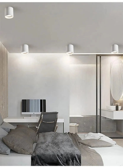 Stellarisri | Reyalight®