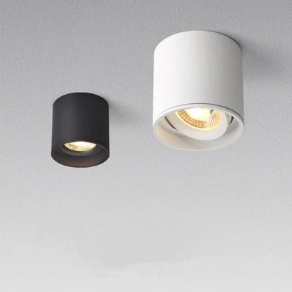 Stellarisri | Reyalight®