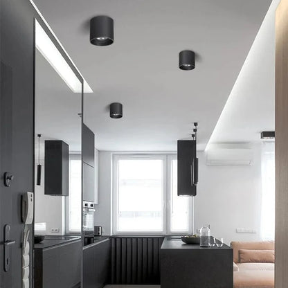 Stellarisri | Reyalight®